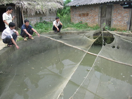 Tạo việc làm cho lao động sau học nghề tại Phú Thọ ảnh 1